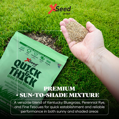 X-Seed patch revitalization for bare spots and new lawn establishment