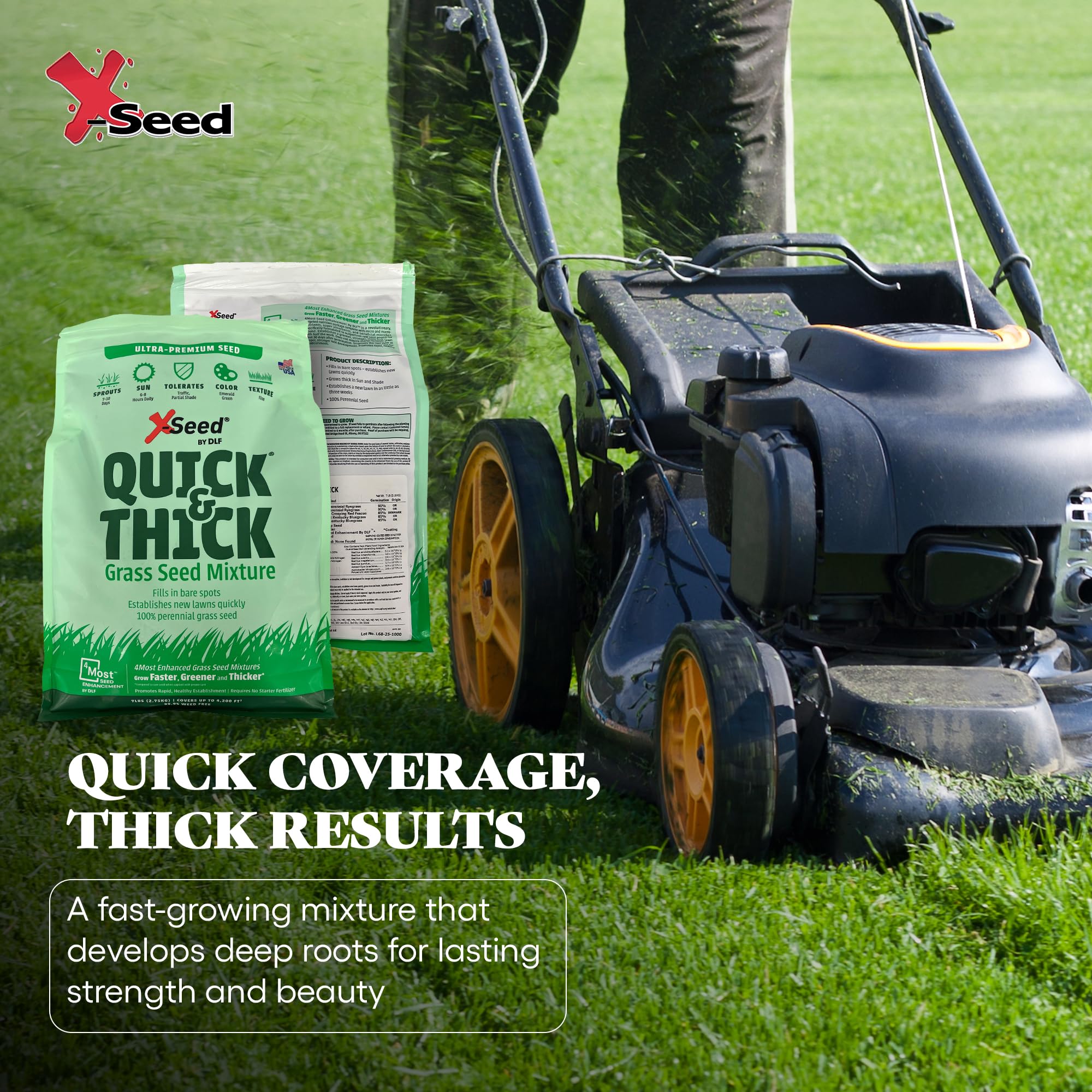 X-Seed New Lawn Revitalization Seed aids bare spots and renewal projects.