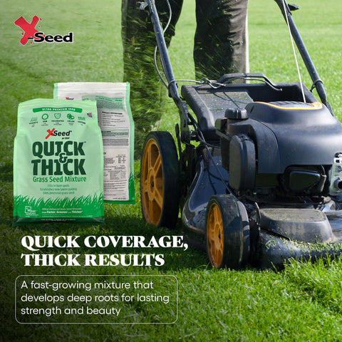 X-Seed New Lawn Revitalization Seed aids bare spots and renewal projects.