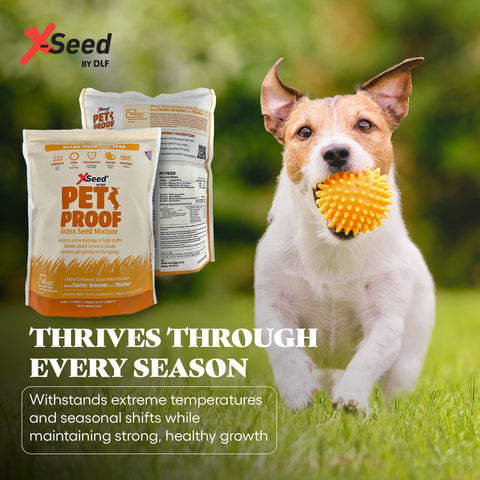 X-Seed perennial mix provides long-lasting lawn coverage.