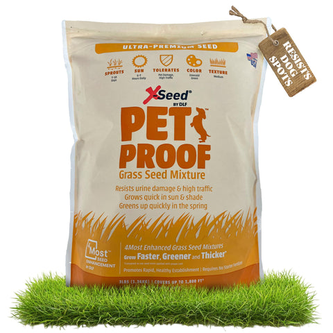 X-Seed Pet Proof Fescue creates a dense, emerald lawn in sun and shade.