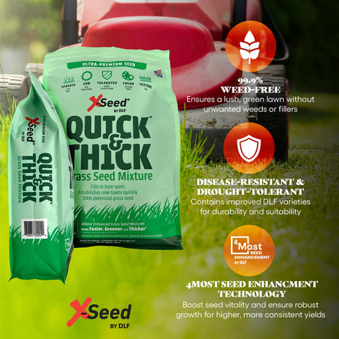 X-Seed Rapid Germination Grass Seed promoting quicker lawn green-up under cool-season climates.