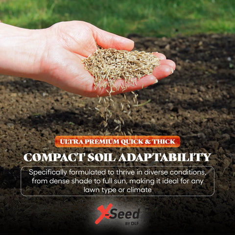 X-Seed lawn thriving in sun and shade for balanced growth