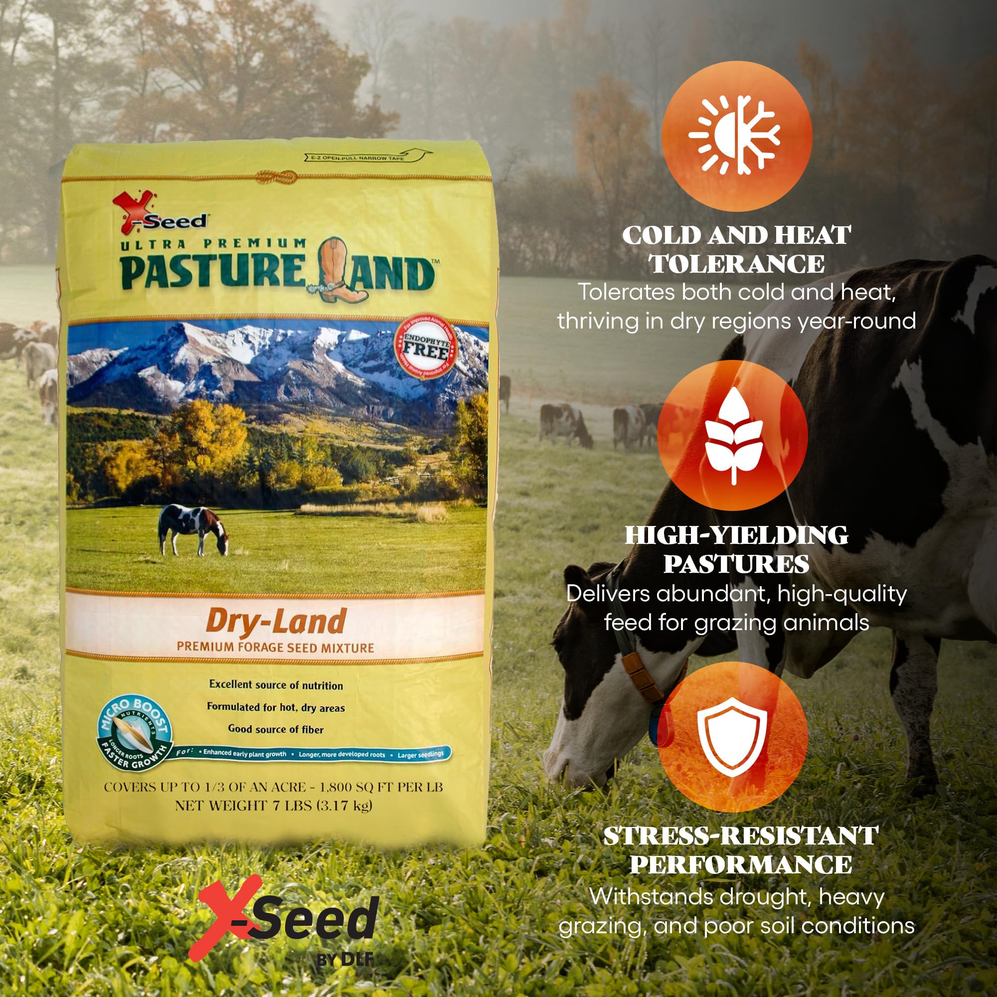 X-Seed tall fescue orchardgrass ryegrass blend creates resilient grazing mix