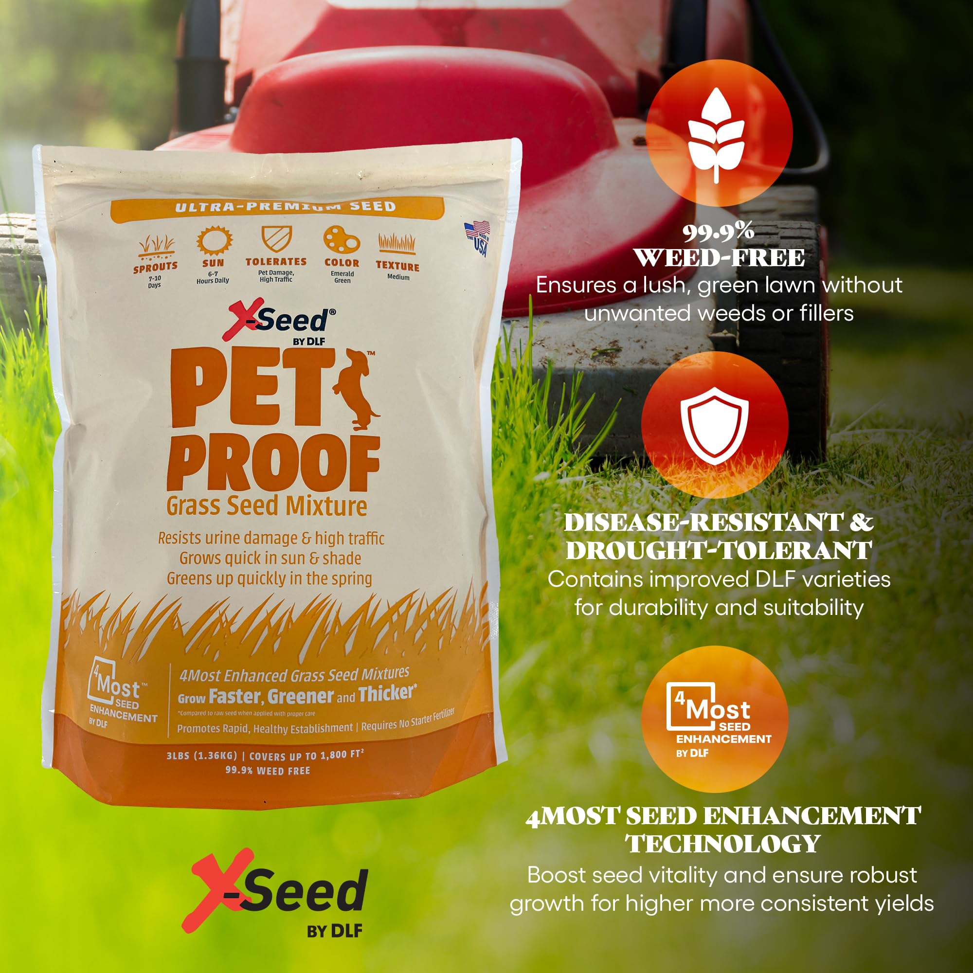 X-Seed Pet Proof Fescue demonstrates urine resistance for pet-friendly yards.