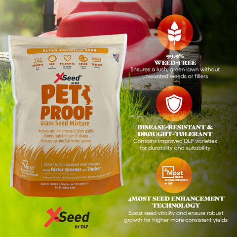 X-Seed Pet Proof Fescue demonstrates urine resistance for pet-friendly yards.