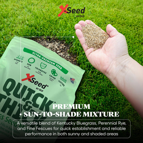 X-Seed Weed-Free 99.9% Seed supports cleaner lawns with dense turf.