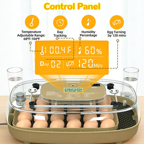 Xalintz incubator digital display showing temperature and humidity