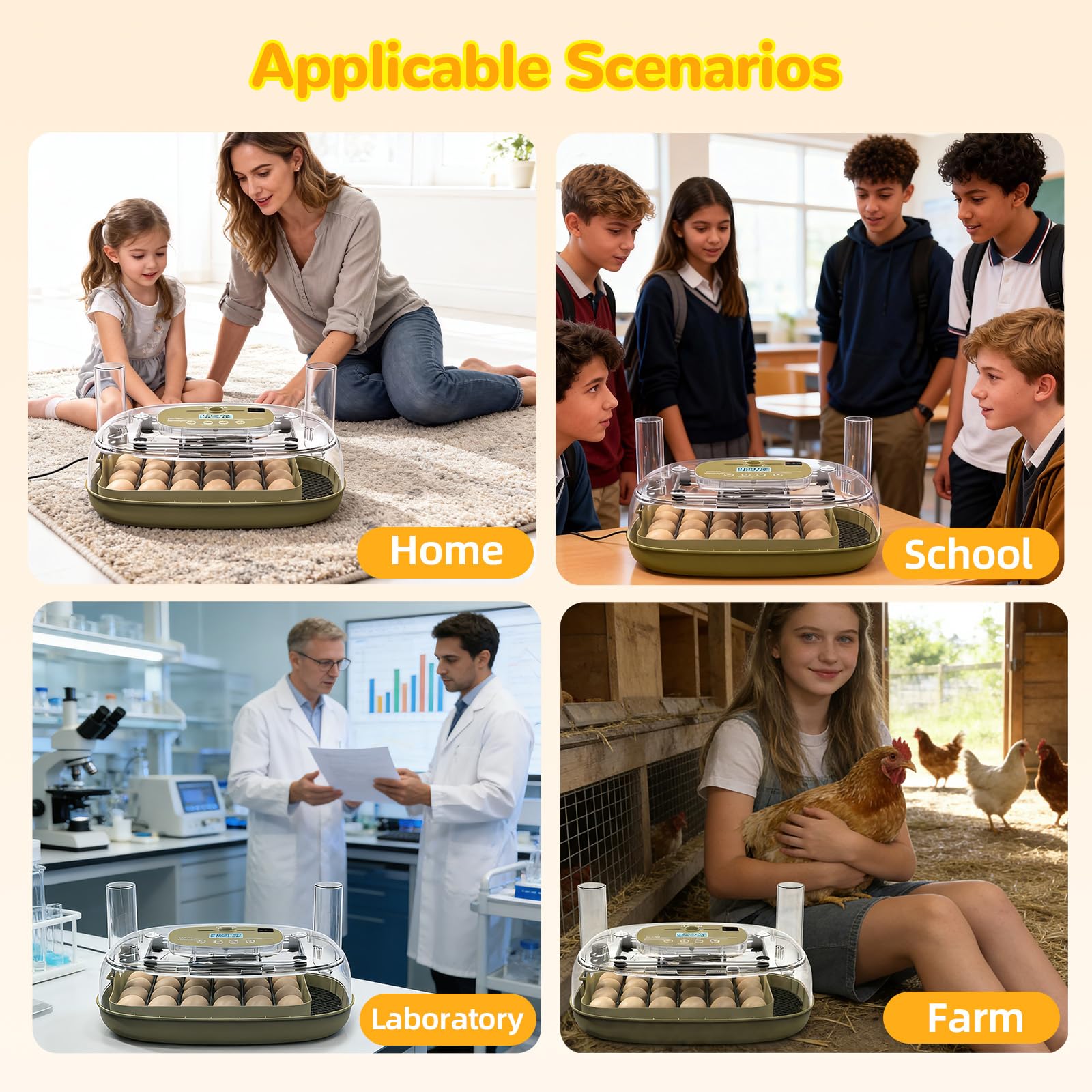 Xalintz interior dividers adaptable for different egg sizes