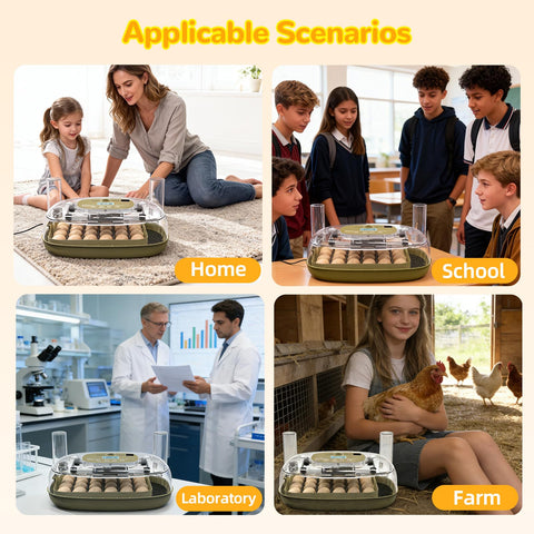 Xalintz interior dividers adaptable for different egg sizes