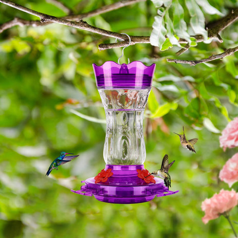 XAROO feeder with bee guard ports keeping nectar clean for hummingbirds