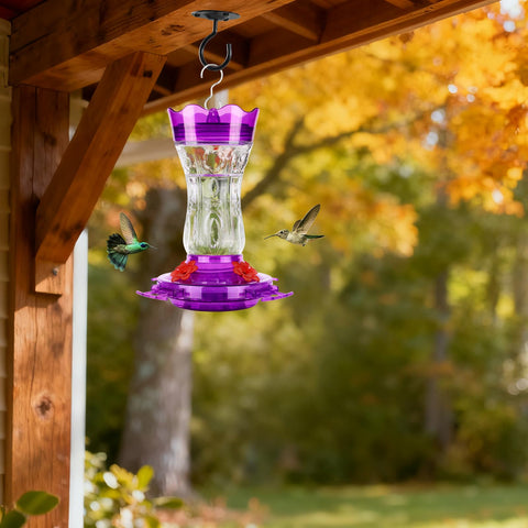 Clear 15oz bottle lets you monitor nectar levels at a glance