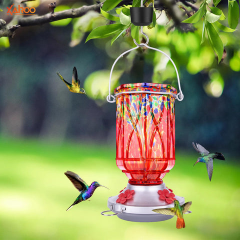 XAROO four-port design enables feeding for multiple hummingbirds at once.