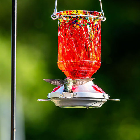 XAROO outdoor garden décor with bright color and classy silhouette.