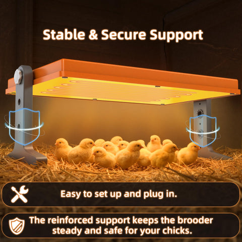 Xbrigh Chick Brooder Plate adjustable-height image shows flexible warmth placement