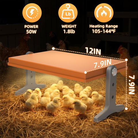 Xbrigh Chick Brooder Plate bottom insulation detail conveys even heat with energy efficiency