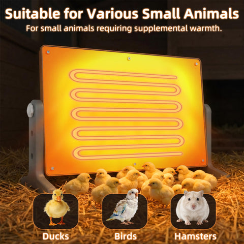 Xbrigh Chick Brooder Plate preheat instruction image communicates ready warmth after one hour