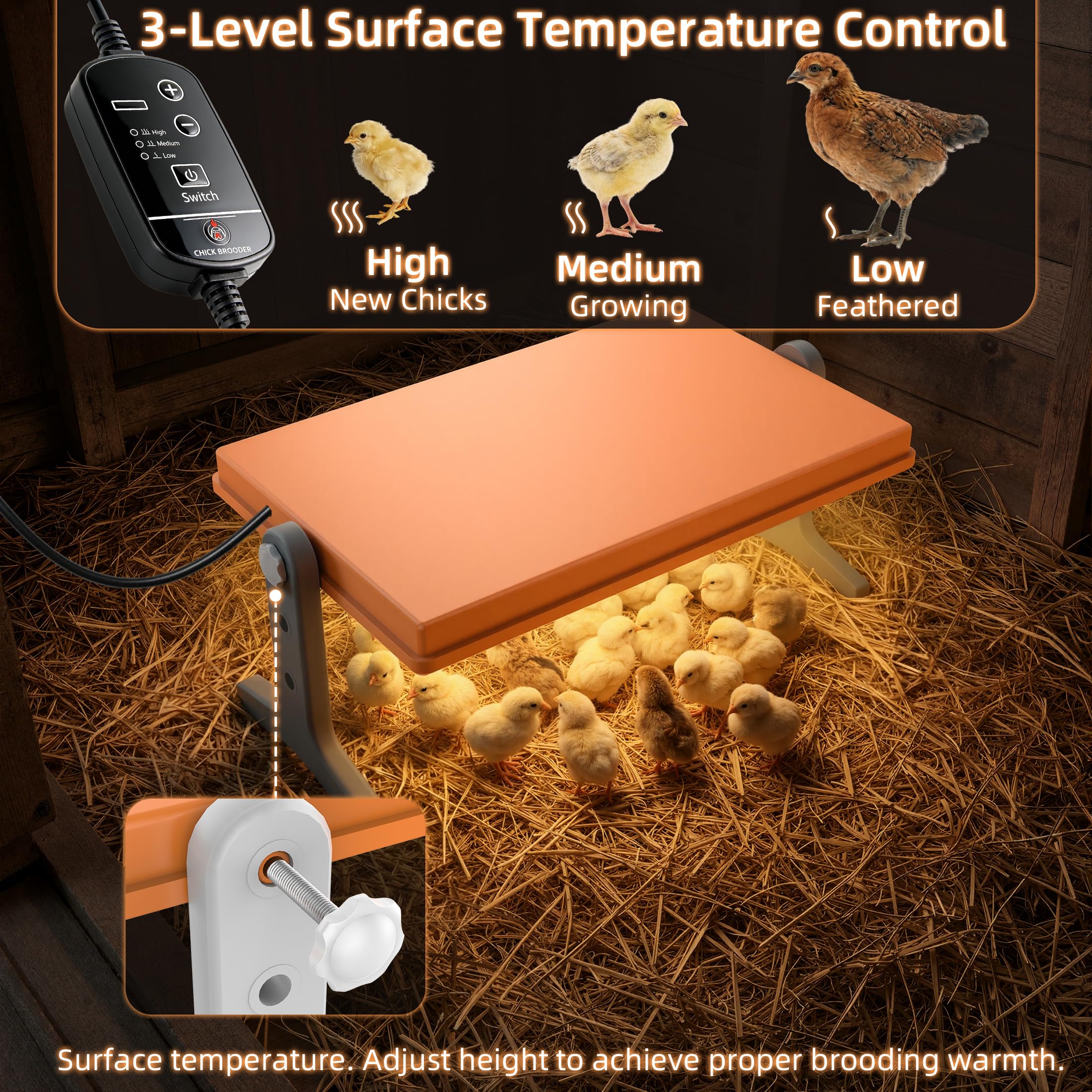 Xbrigh Chick Brooder Plate side view highlights adjustable height for growing chicks
