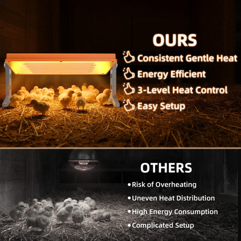 Xbrigh Chick Brooder Plate temperature dials close-up emphasizes three safe heat settings