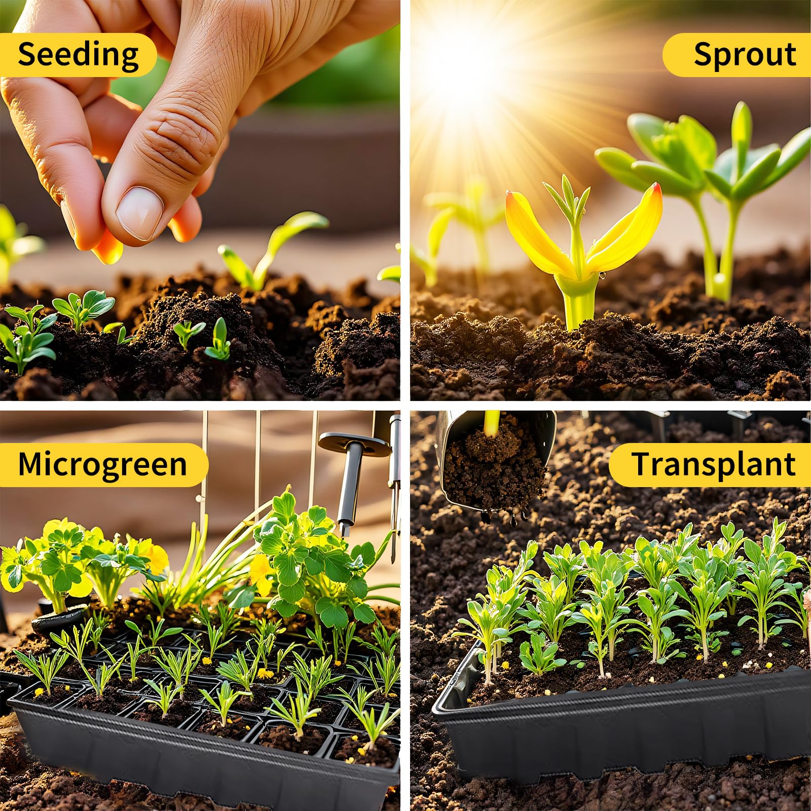 XCRUI durable seed trays with no-drainage holes for mess-free watering.