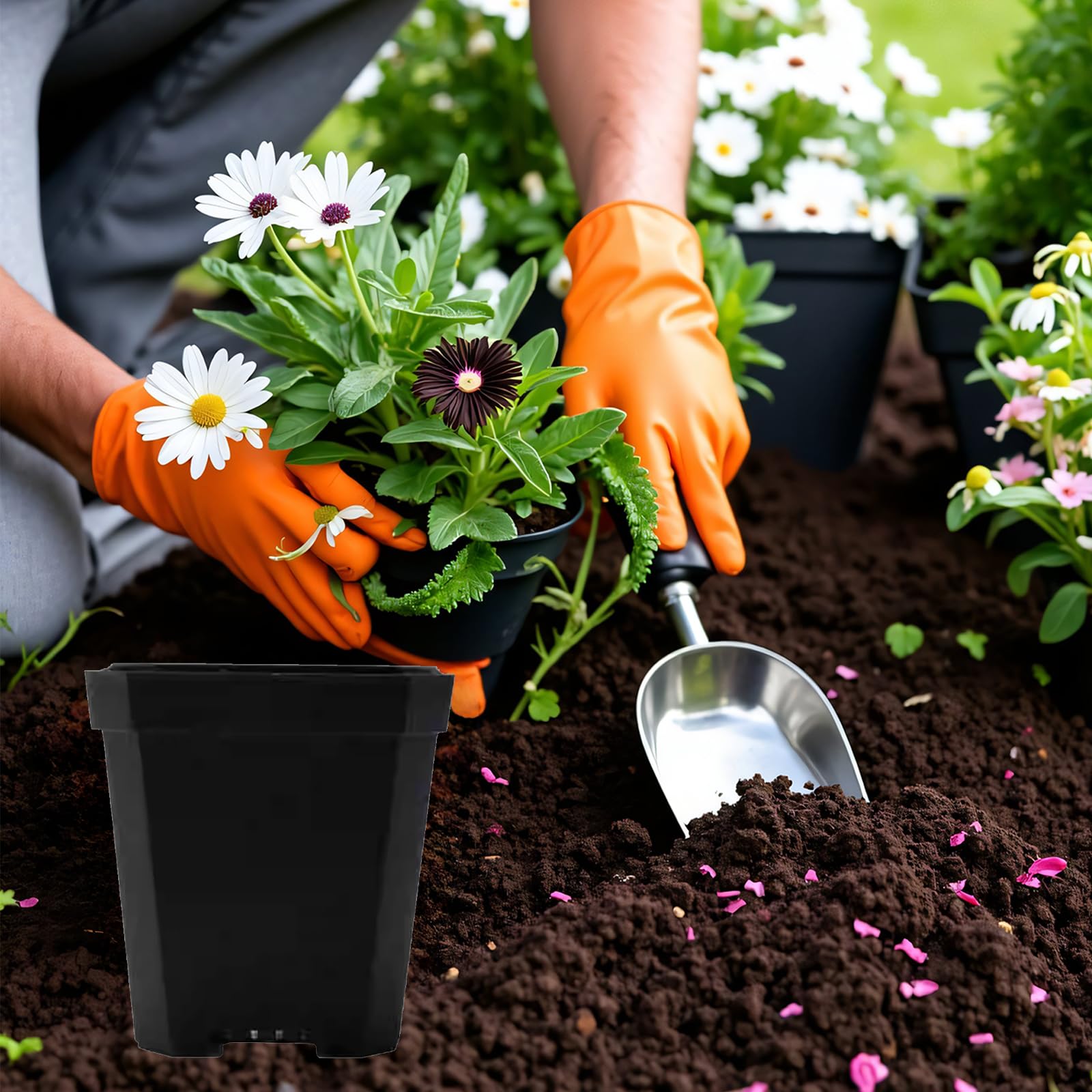 XCRUI 3-inch deep square pot with opening 2.7 in and drainage.