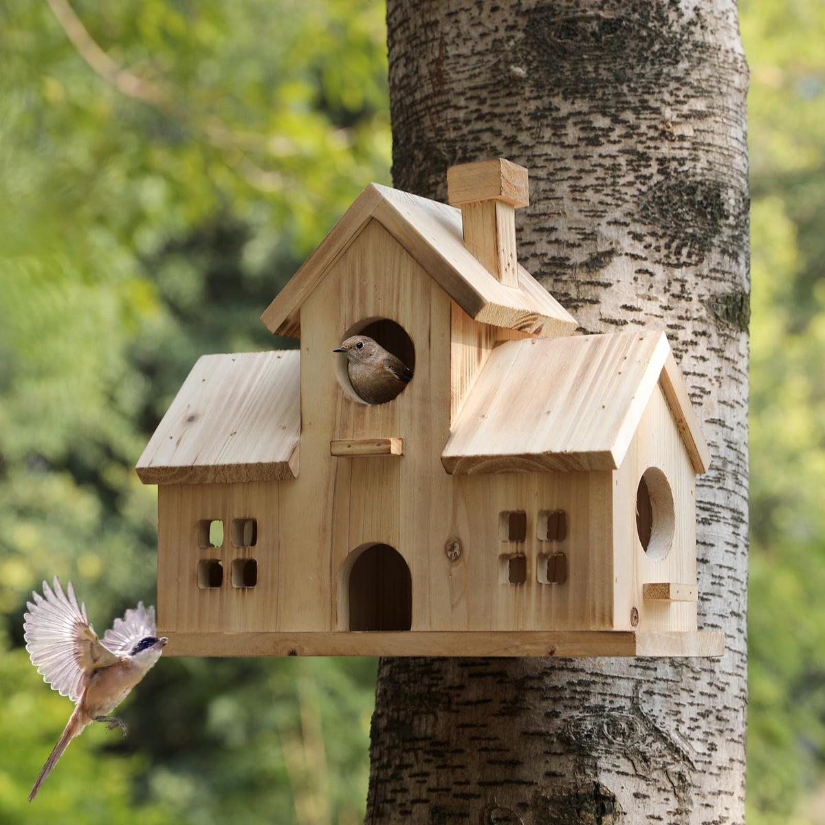 XDYGHH bird house cedar hanging design for outdoor durability and weather resistance