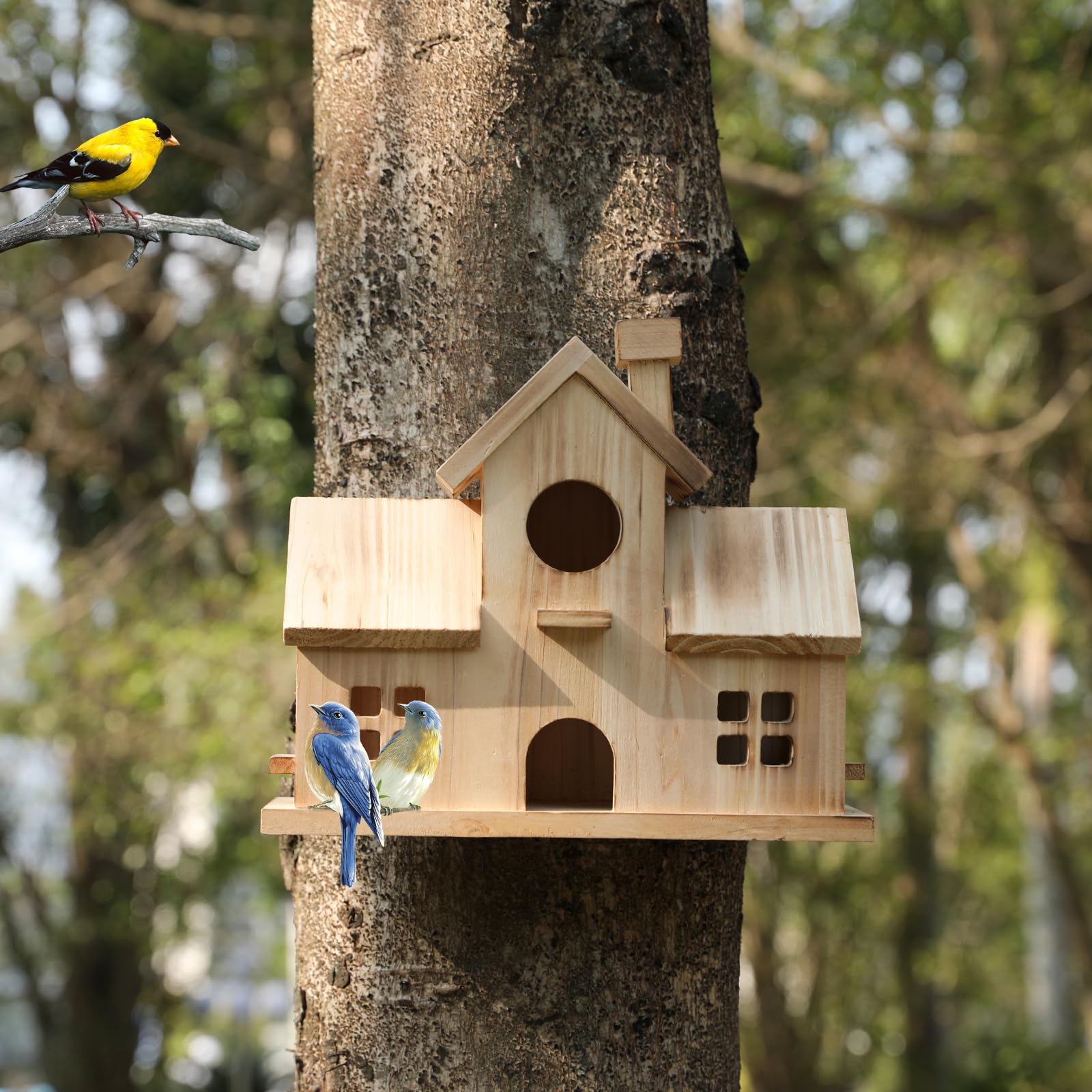 XDYGHH enjoy watching local wildlife visiting the nest and feeder