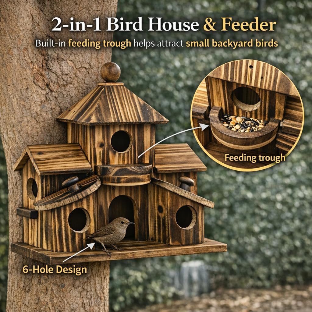XDYGHH 2-in-1 bird house and feeder blends shelter with accessible food for visitors.