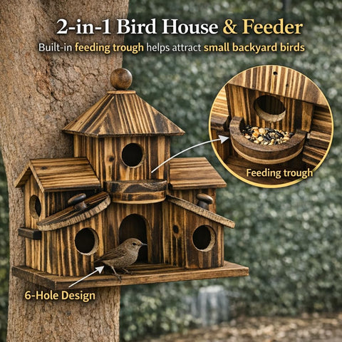 XDYGHH 2-in-1 bird house and feeder blends shelter with accessible food for visitors.