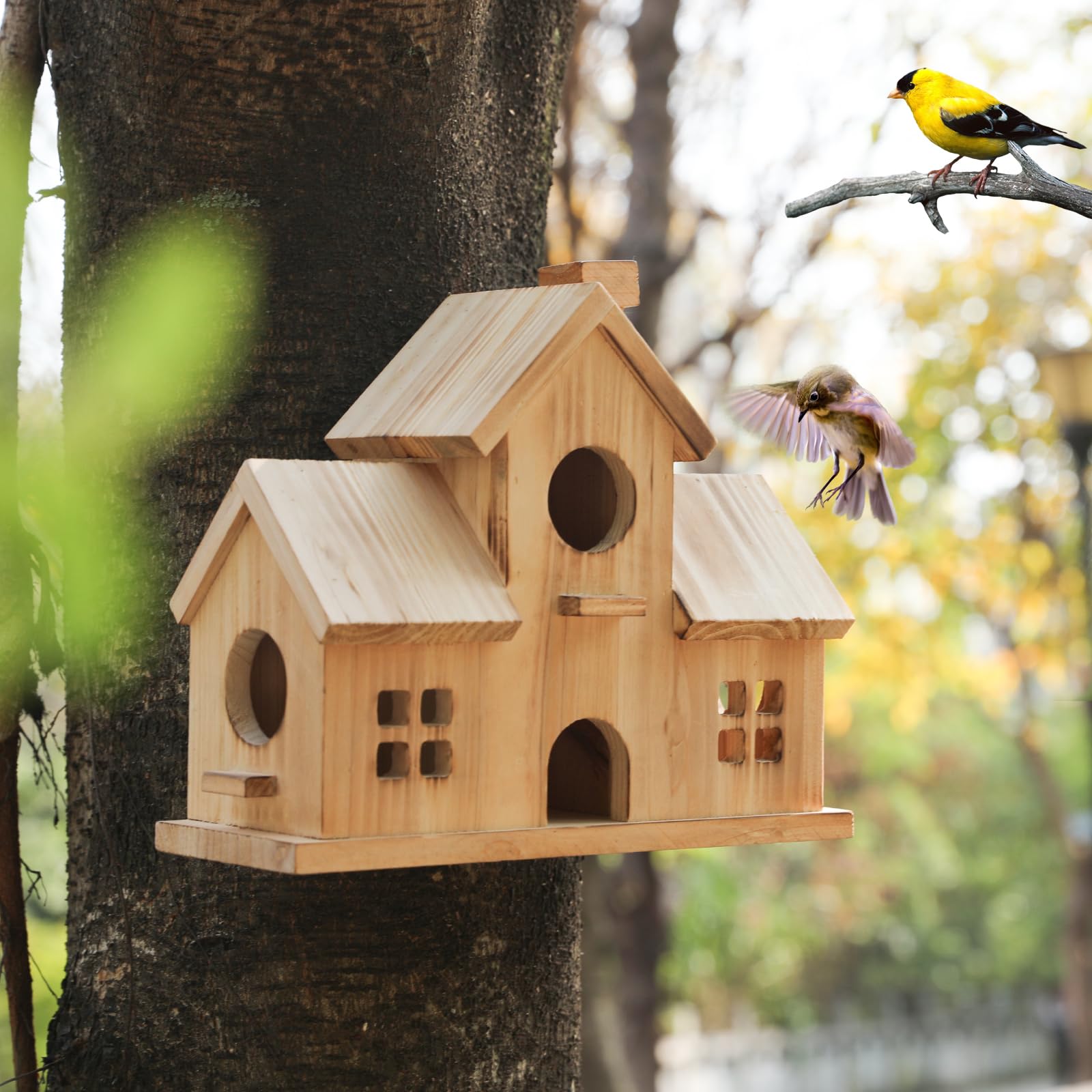 XDYGHH wide-bottom design provides ample room for visiting birds