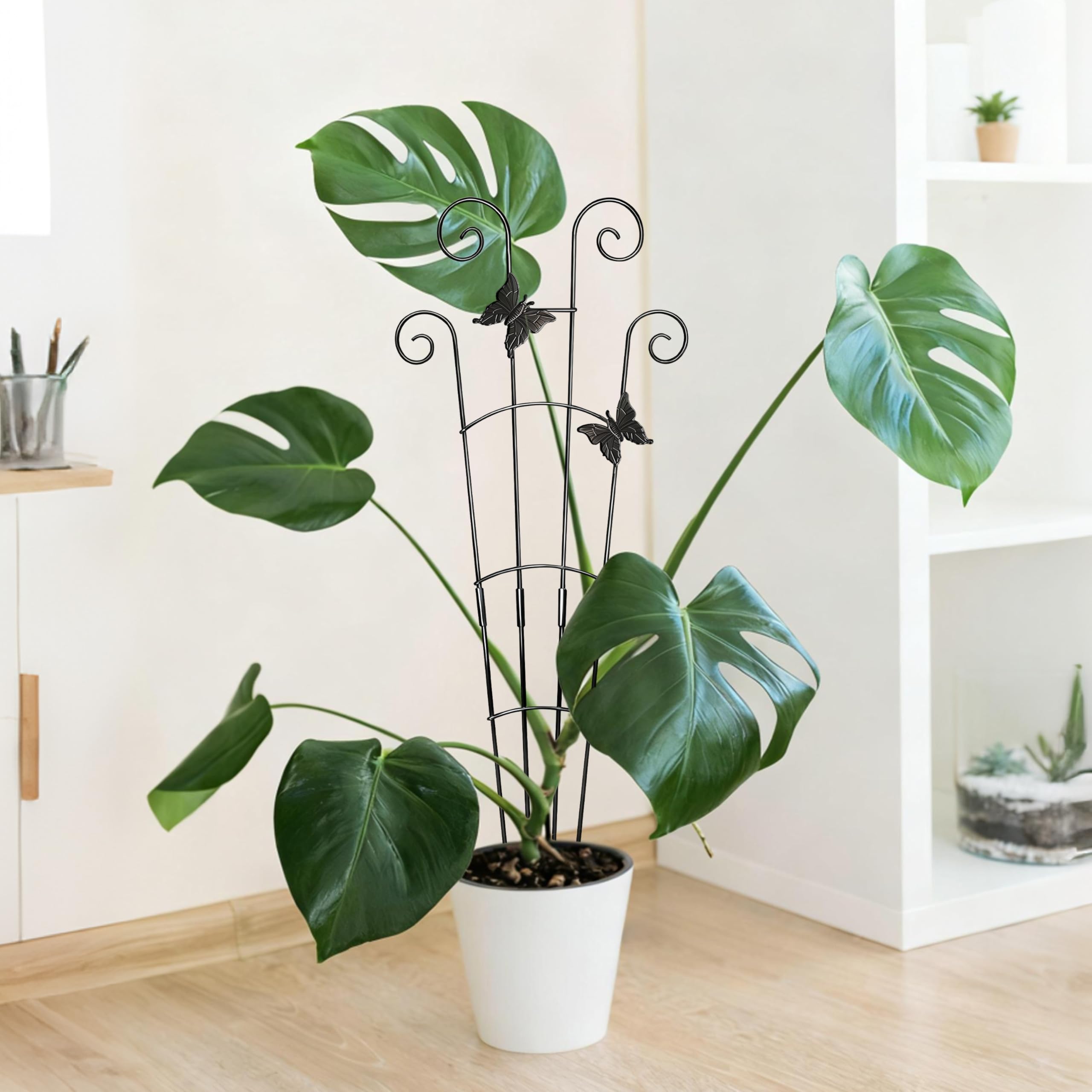 Xeeol 30-pound load capacity supports sturdy, resilient vines.