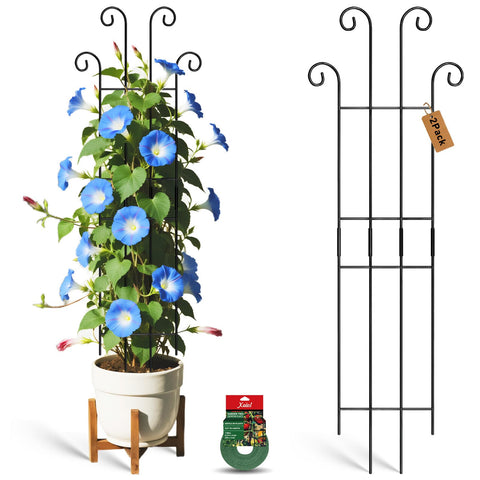 Xeeol 32.6in tall plant trellis indoors supports climbing ivy and monstera