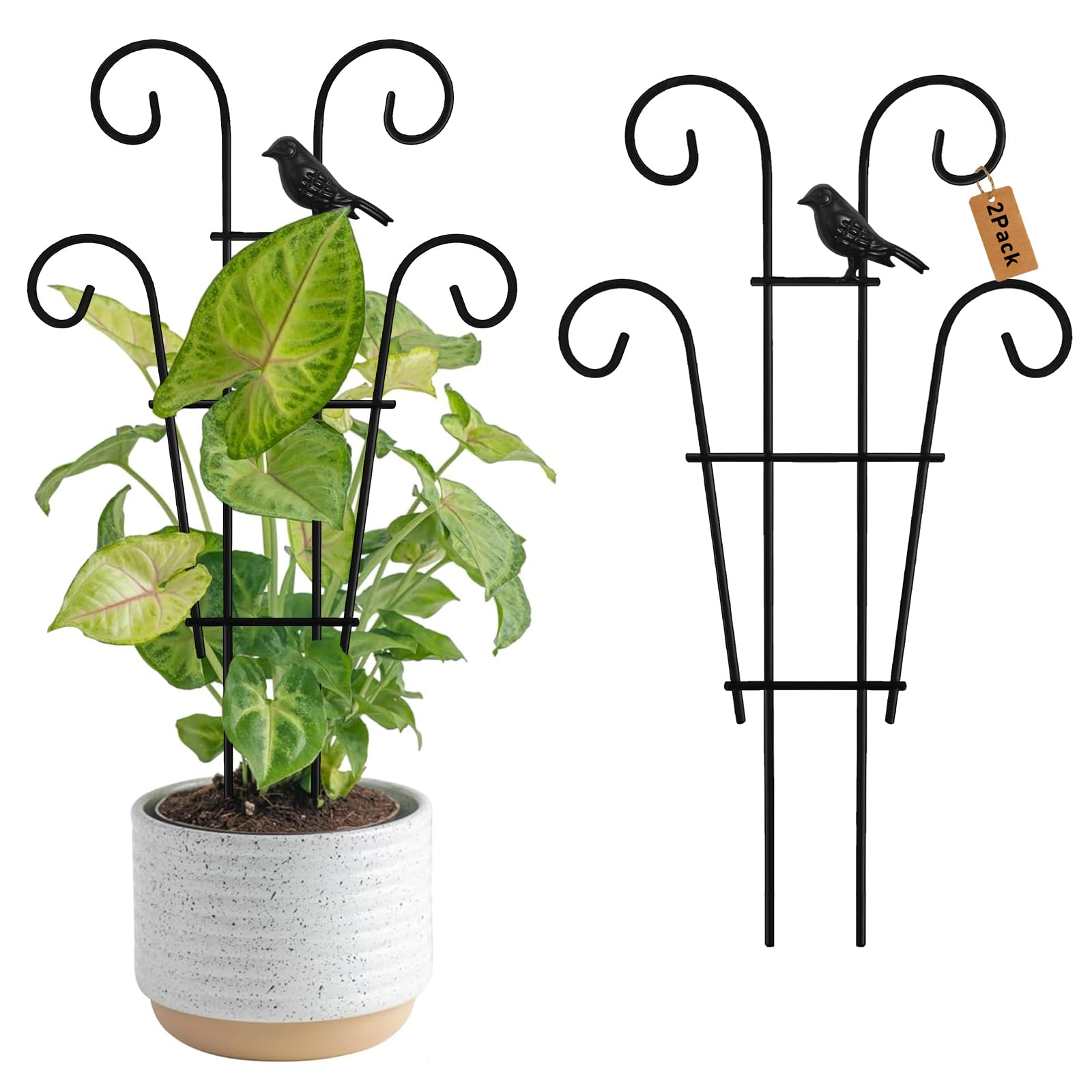 Xeeol Bird Trellis supports Pothos and ivy for upright growth.