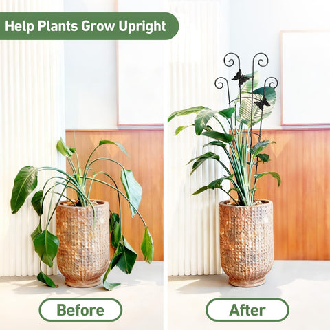 Xeeol butterfly-pattern trellis adds decorative charm while guiding upward growth.
