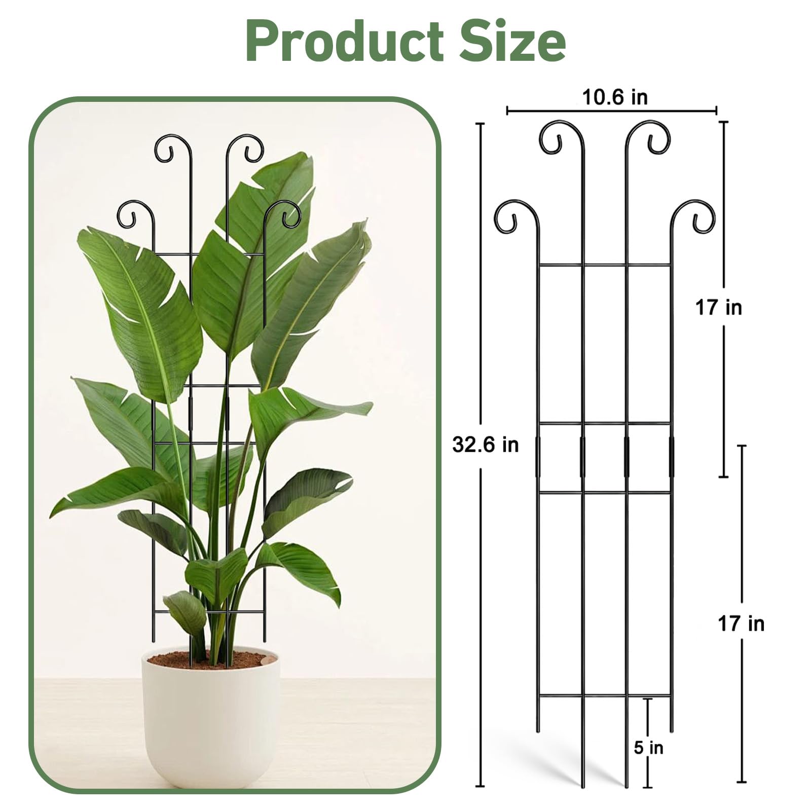 Expandable trellis for potted plants supports flexible vertical growth