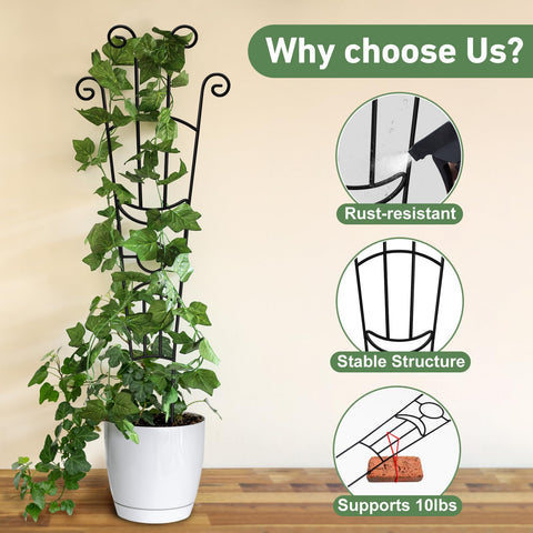 Xeeol expandable trellis with two pieces adjusts to plant growth.