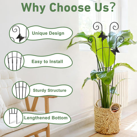 Xeeol expandable upper-lower trellis sections adapt to your plant size.