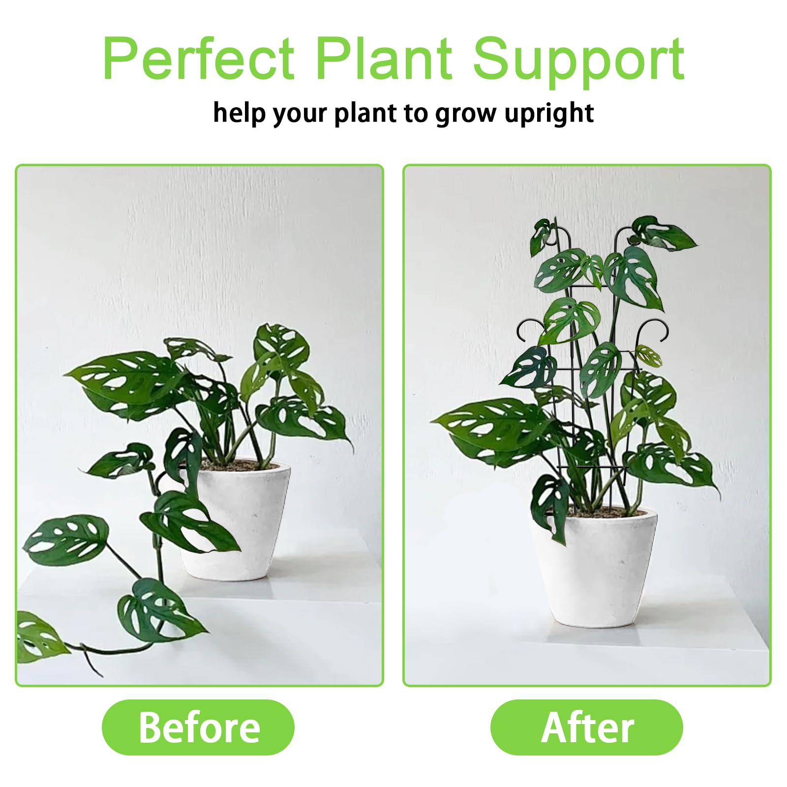 Xeeol garden trellis for climbing plants enhances vertical growth.