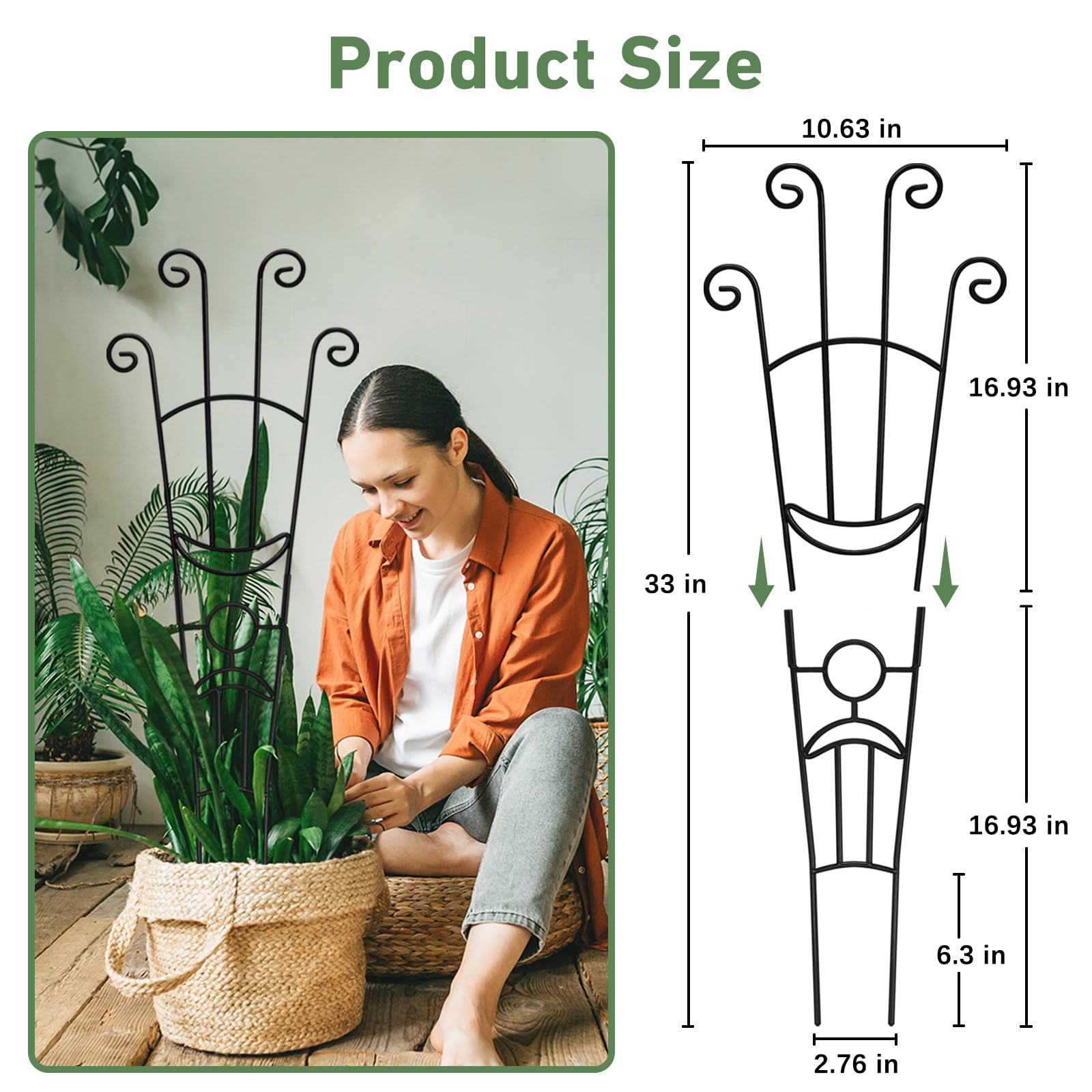 Xeeol included ties pack secures vines for tidy vertical growth.