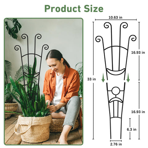 Xeeol included ties pack secures vines for tidy vertical growth.