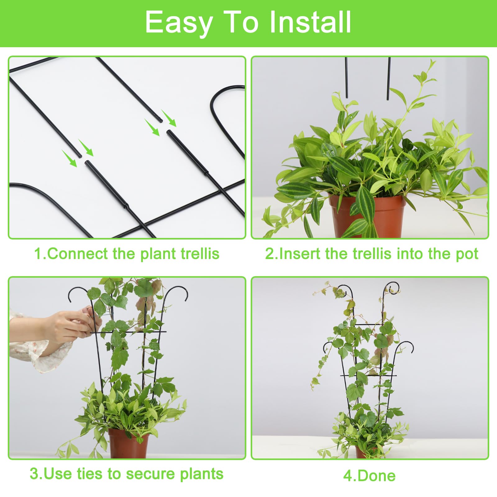 Xeeol indoor-outdoor trellis setup fits versatile spaces.