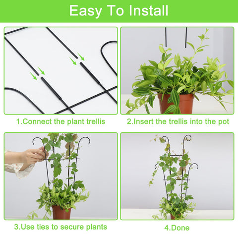 Xeeol indoor-outdoor trellis setup fits versatile spaces.