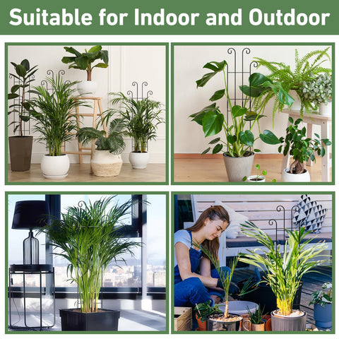Indoor or outdoor use trellis adapts to balcony or desk