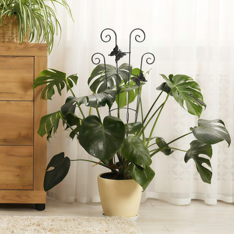 Xeeol ivy pothos monstera support ideal for vertical gardens.