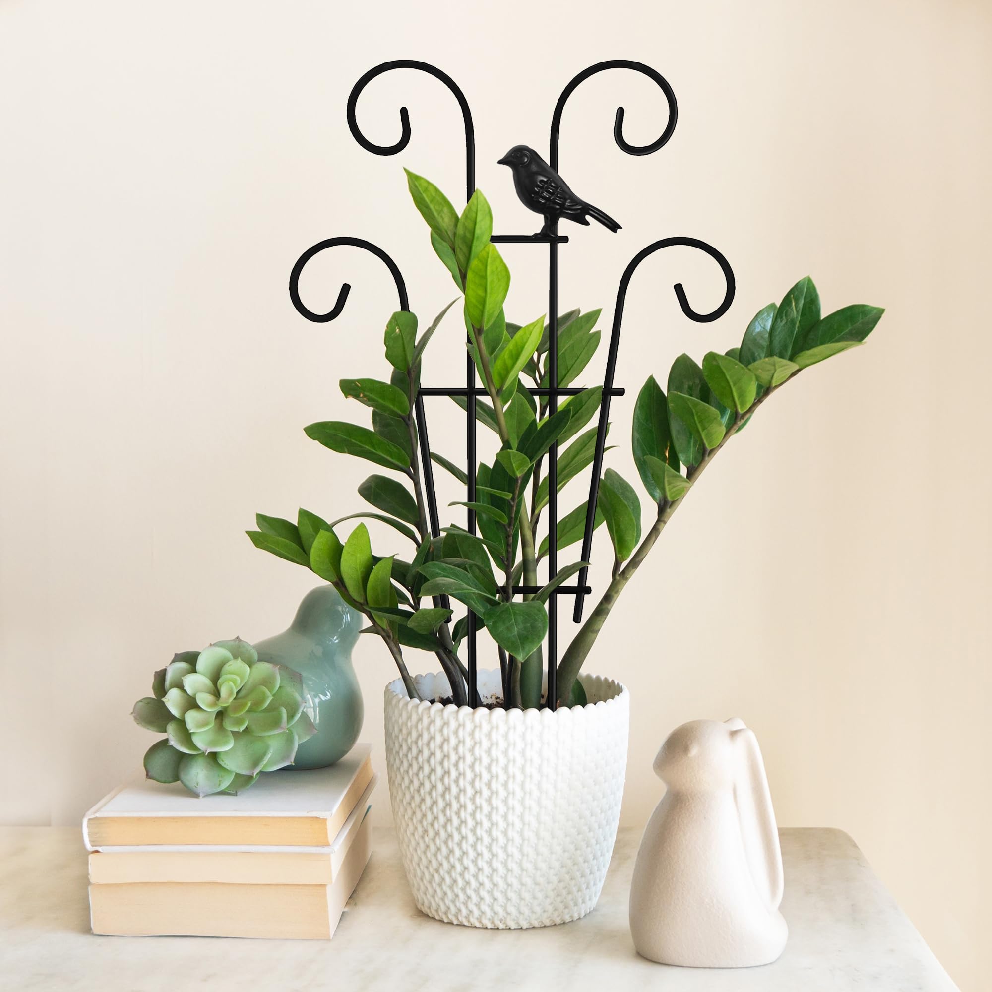 Xeeol Ivy Trellis adds structure to compact greenery.