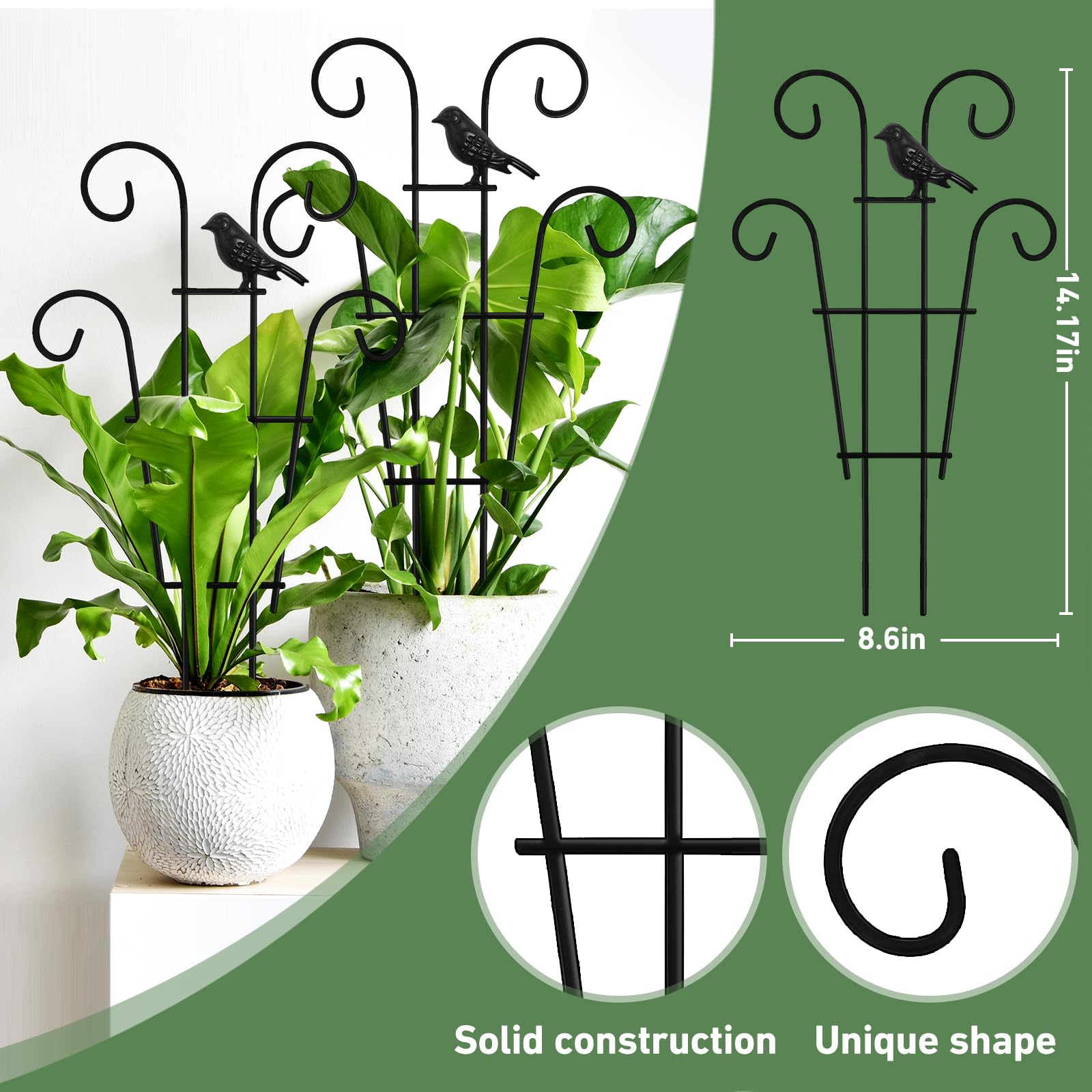Xeeol Modern Design Indoor Trellis adds style to plant display.