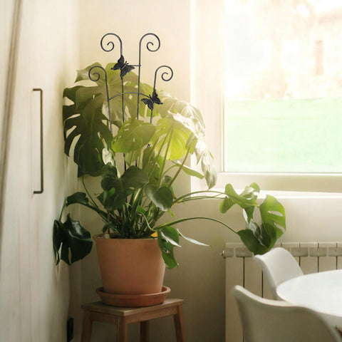 Xeeol modular design offers flexible growth for different plant stages.