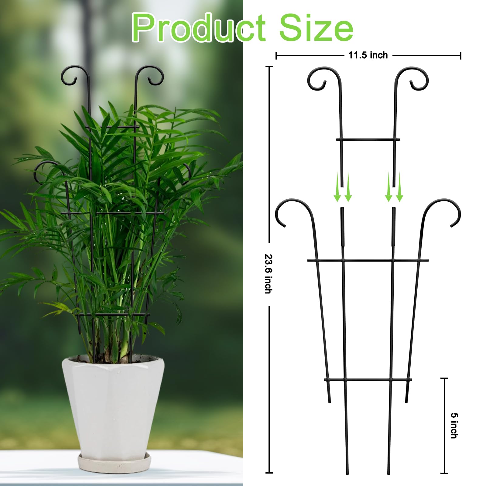 Xeeol peas trellis 2p supports legume pods.