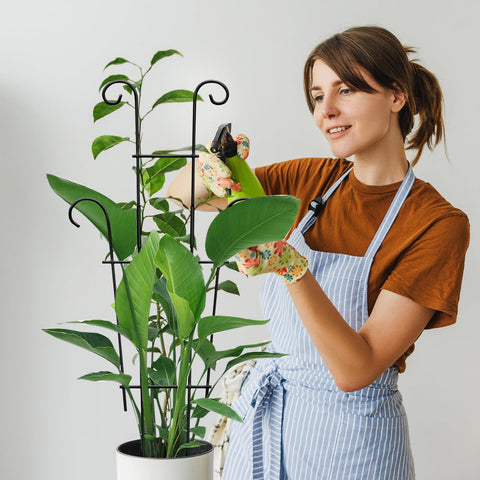Xeeol plant ties included simplify fast installation.