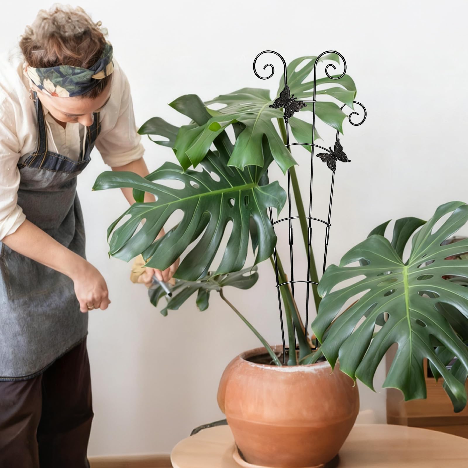 Xeeol plant ties pack keeps vines neatly fixed for healthy growth.